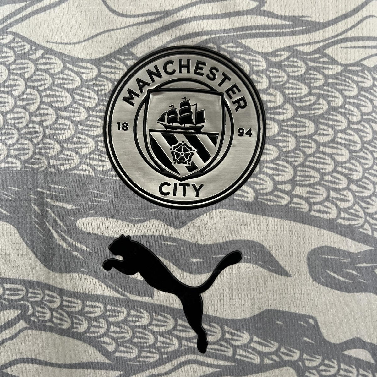 Manchester City 24/25 Edição Especial - Puma Torcedor Masculina