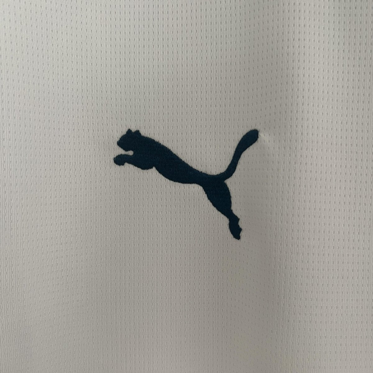 Marseille Titular 24/25 - Puma Torcedor Masculina - Lançamento