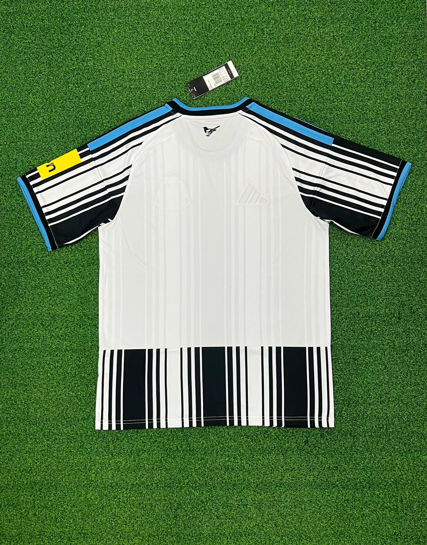2026-27 Newcastle Titular