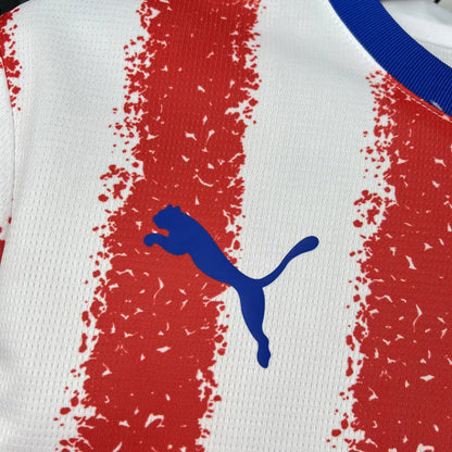 Paraguai Titular 2026 - Copa do Mundo