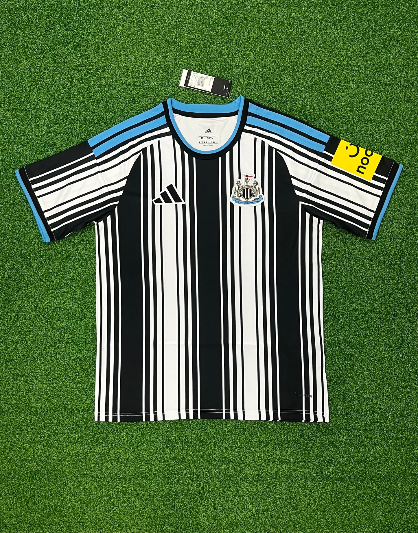 2026-27 Newcastle Titular